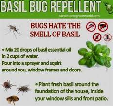 These are often cheap, but if you're an ironman or cannot afford one, fear not! Pest Control Association Pest Control Quest Destiny 2 Pest Control Xp Per Hour Osrs Precision Pest Con Pest Control Diy Pest Control Pest Control Roaches