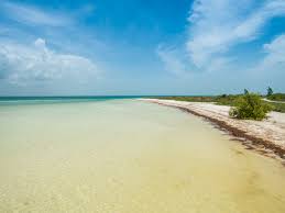 We did not find results for: Datei Beach Holbox Island Mexico Strand 20153334916 Jpg Wikipedia