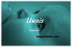 Rangkaian Nama Bayi Laki Laki Dan Artinya Uwais Bayilelakiku Com Nama Bayi Laki Laki Dan Artinya Islami Kristen Modern