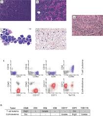 Current estimates show this company has an annual . Insertional Mutagenesis Using The Sleeping Beauty Transposon System Identifies Drivers Of Erythroleukemia In Mice Scientific Reports