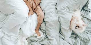 Bedding Boost: How To Clean Down Or Feather Pillows And Comforters At Home  - Healthywomen