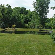 A productive pond can be anywhere from a quarter of an acre to a full acre, depending on the size of your property. 5 Step Guide Pond Rehab The Pond Guy