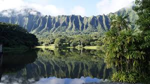 Hoomaluhia features plantings from major tropical regions around the world grouped geographically. Hoomaluhia Botanical Garden Home Facebook