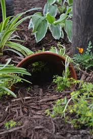We did not find results for: Kids Post Building A Toad House