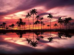 Choose from a curated selection of macbook wallpapers for your mobile and desktop screens. Hawaii Natur Sonnenuntergang Hintergrund Beste Kostenlose Bilder