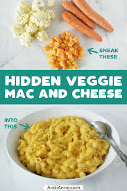 Hidden Veggie Mac And Cheese Recipe Healthy Meals For Kids Healthy Toddler Meals Hidden Veggies