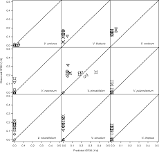 Image result for Achyrospermum carvalhoi