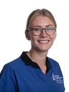 RVC Orthopaedic Team