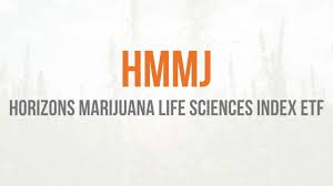 horizons marijuana life sciences index etf hmmj tsx