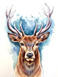 Original Hirsch Aquarell Bild Illustration Deer Art Stag Watercolor Painting Original Hirsch Aquarell Bild I Deer Art Watercolor Deer Deer Painting