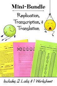 Replication Transcription And Translation Mini Bundle Activities Worksheet Transcription And Translation Dna Transcription And Translation Dna Transcription