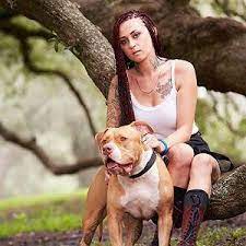 The pocket (or mini) pitbull is a cross between the american pitbull terrier and the patterdale terrier. Meet The Villalobos Crew Animal Planet Pitbullpictures Pitbulls Grey Pitbull Puppies Pit Bulls Parolees