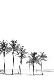 Aesthetic Black And White Palm Tree Wallpaper Motivational Quotes For Women Discover Contrast Reveals Beauty Dopediamond Tumblr Com In 2020 Black And White Photo Wall Palm Trees Wallpaper Wallpaper