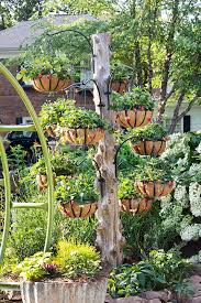 Buy plants online from our garden center and plant nursery year 'round. How To Build A Strawberry Hanging Basket Tree Bonnie Plants