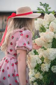 Uploaded at april 23, 2018. What S The Deal With That Strawberry Dress On Tiktok The New York Times