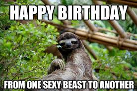 Pin By Happy Birthday On Happy Birthday Sloth Funny Animals Sassy Sloth
