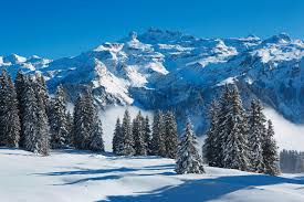 Von der riederalp gelangen sie in wenigen minuten mit der bahn auf den. Schneevergnugen Ab Auf Die Piste Ace