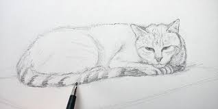 Voici dix adresses web qui vont vous aider à donner vos premiers coups de crayon. Apprendre A Dessiner Des Animaux Comment Dessiner Etape Par Etape Avec Dessin Creation