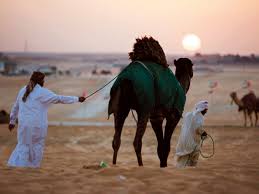 Enter daily for your chance to win the camel open canvas instant win game and sweepstakes! Dh35m Up For Grabs At Camel Contest Arts Culture Gulf News