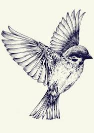 Bird tattoo designs are most famous all around the world. The Most Loved Bird Tattoos For Men Tattooli Com