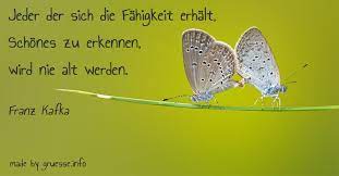 Um drei frauengenerationen auf einmal zu verärgern, genügt es, wenn man zur mutter sagt, die tochter sehe schon jetzt aus wie die grossmutter. Zitate Zum Geburtstag Geburtstagsspruche Und Wunsche Zur Gratulation