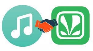 Jiosaavn apk download free music app | jiosaavn apk music app all songs in jio saavn music jio music jiosaavn apk download. Jiosaavn Download Jiosaavn App Jiosaavn Subscription Jiosaavn Apk