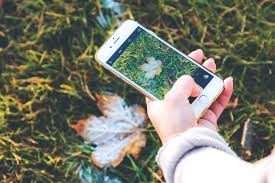 We are excited to announce the launch of our brand new mobile app for ios and android! Is That Poison Ivy The Seek App Can Tell You That And More