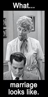 I Love Lucy I Love Lucy Hump Day Humor Funny Quotes