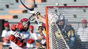 Polk County lacrosse sending 12 players to play in college