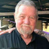 Louis Darrell McDonald