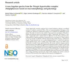 Image result for Triaspis hypericoides