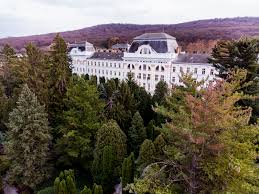 Tot din anul 2008, simona bataga este conducator de doctorat la universitatea de medicina si farmacie din targu mures, iar incepand din 2009 este membru in comitetul director al. Ui Greenmetric Umfst Targu Mures Blogul Studentului