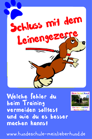 Wieso Dein Hund Gleich Wieder Zieht Obwohl Du Ihn Belohnst Wenn Er Aufhort Und Wie Du Es Besser Machen Kannst Hunde Hunde Sprache Hundchen Ubung