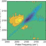 Walter S. Ostrowski*