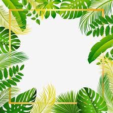 Tropical Summer Beautiful Forest Leaves Frame Vector And Png Flower Background Wallpaper Plant Illustration Jungle Illustration