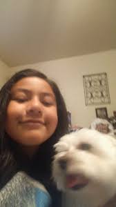 Missing maltipoo dog in Benson, AZ