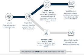 Credit Risk Transfer | Crt | Fannie Mae