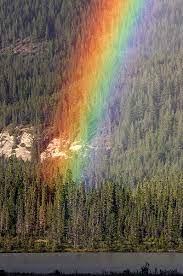 over the rainbow regenbogen regenbogen bilder landschaftsbilder