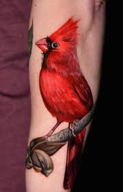 Check spelling or type a new query. Cardinal By Danny Elliott Tattoonow