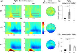 Largest private insurance company in russia with a diversified portfolio of insurance products. Sight Restoration After Congenital Blindness Does Not Reinstate Alpha Oscillatory Activity In Humans Scientific Reports