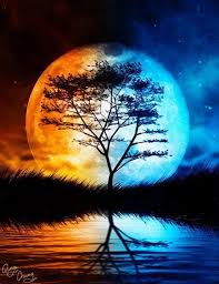 Moon And Tree Fotografia De Paisagem Imagens Fantasticas Fotos De Paisagem