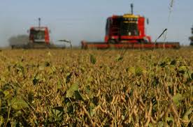 Argentina, preocupada por el impacto de la sequía sobre la agricultura