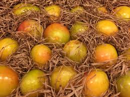 That's why you're going to leave it the experts this year, right? Mailorder Fruit Where To Find The Best Fruit Paddock Post