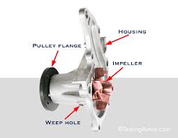 2002 malibu automobile pdf manual download. When Does The Water Pump Need To Be Replaced