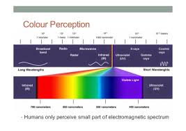 Pin On Energetics