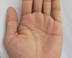 What Does Having Too Many Lines On Palm Indicate In 2020 Palm Lines Palmistry Lines