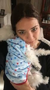 Top Cat Boarding in San Agustín with Best Prices