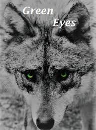 Your green eyes they don't miss a thing, they hold me like the sun going down, warm me like a fire in the night, without a sound. Green Eyes Discontinued