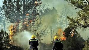 Hablamos en la mañana con la que fue alcaldesa de mazarete, lucía enjuto. Diez Anos Del Incendio De Guadalajara Hoy
