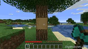 Oak log(harvested with any tool including hands) 6. How To Make A Stripped Oak Log In Minecraft